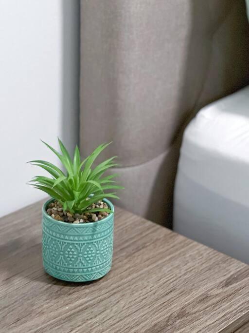 Apartment Guest In Southwest Edmonton