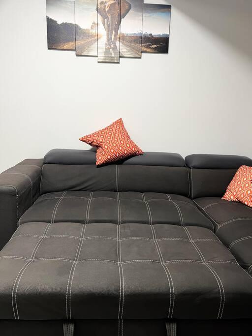 Guest In Southwest Apartment
