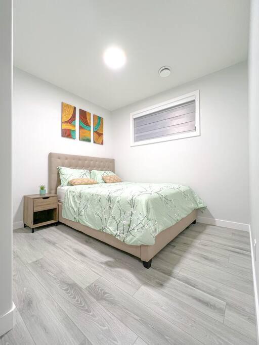 Guest In Southwest Apartment *