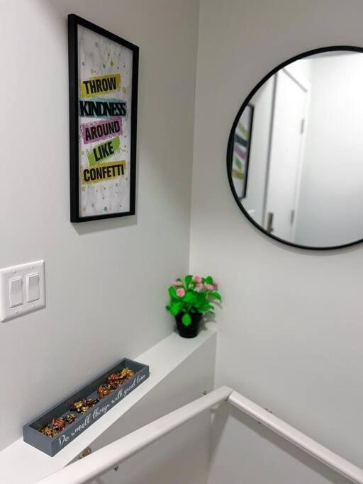 Guest In Southwest Apartment *